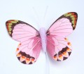 207759 Veren vlinder roze